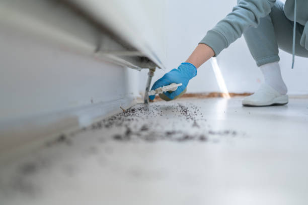 Best Pest Prevention Services  in La Porte, TX